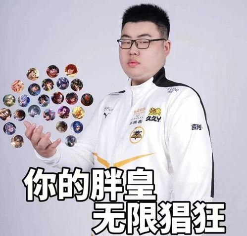 狼队小胖爆料视频大全集,揭秘幕后故事与精彩瞬间