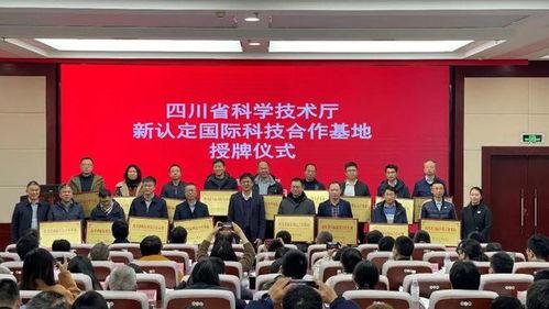 西华大学爆料事件最新,真相与争议交织的校园风云